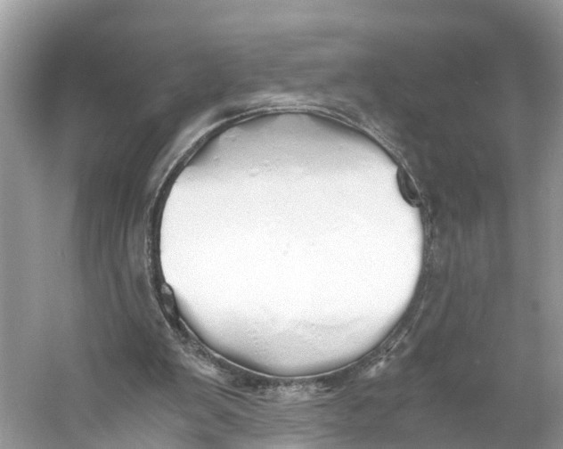 X0000060750103200512011457