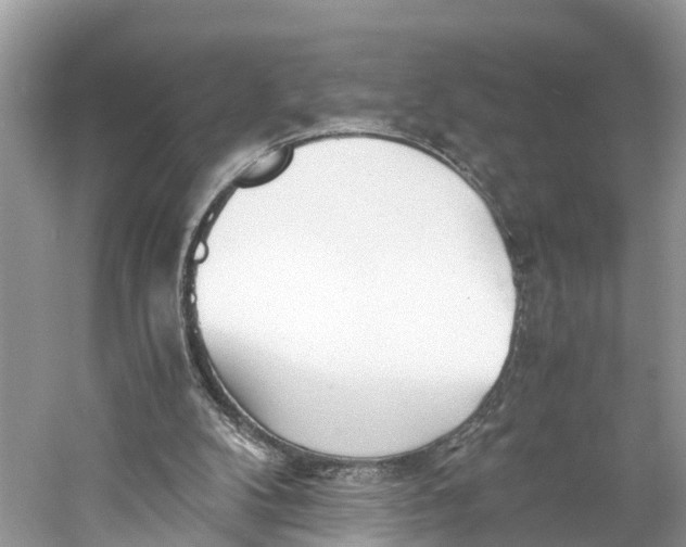X0000060750104200512011457