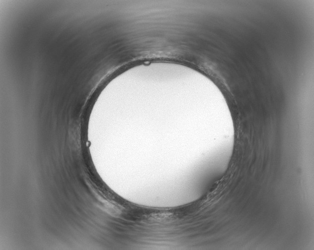 X0000060750108200512011457