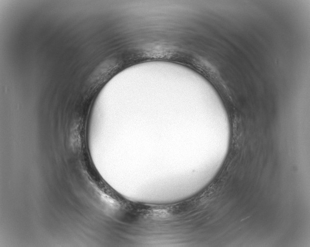 X0000060750114200512011457