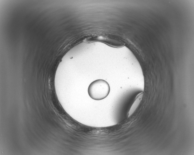 X0000060750117200512011457