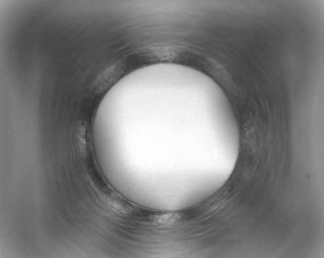 X0000060750122200512011457