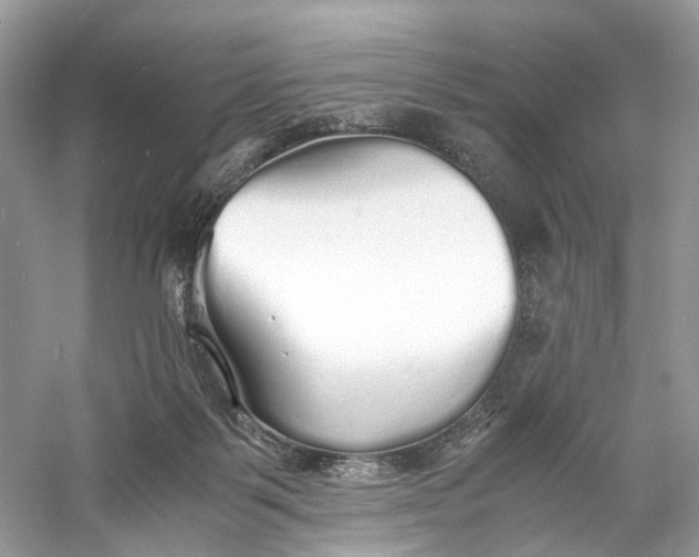X0000060750123200512011457