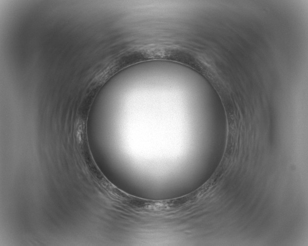 X0000060750125200512011457