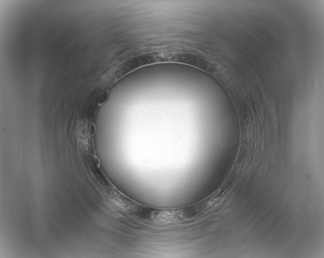 X0000060750129200512011457