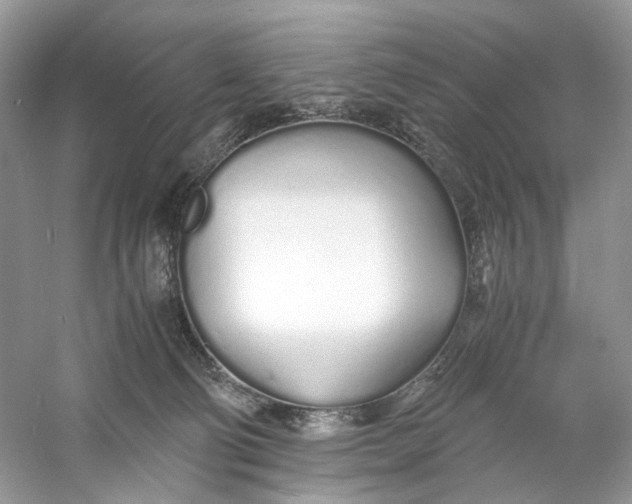X0000060750130200512011457
