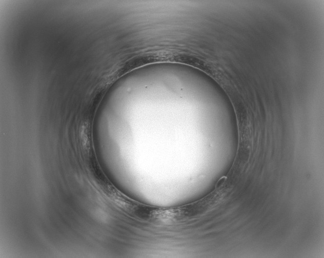 X0000060750131200512011457