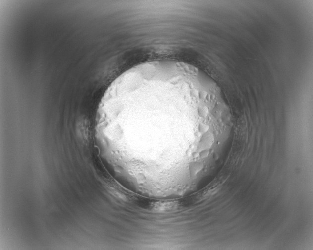 X0000060750135200512011457