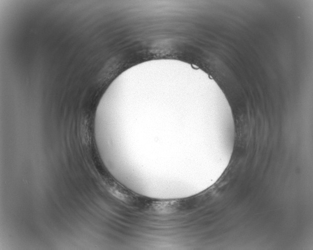 X0000060750136200512011457