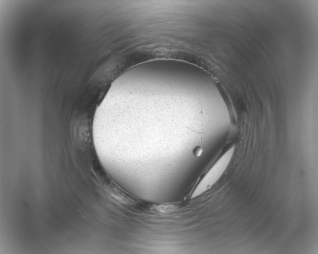 X0000060750137200512011457