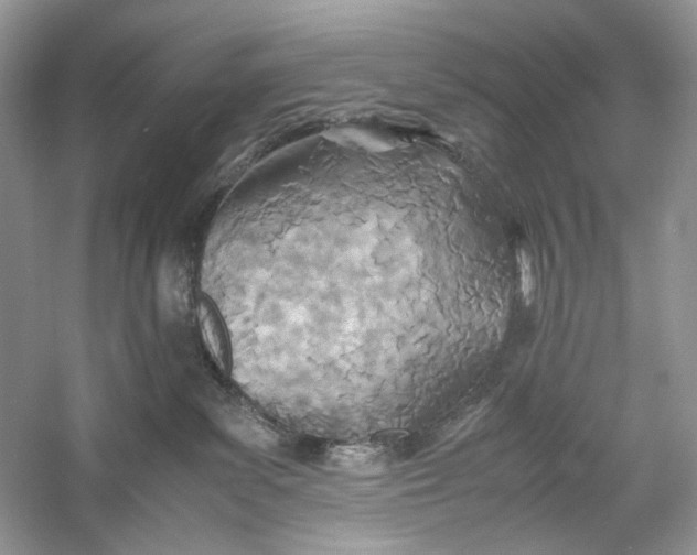 X0000060750139200512011457