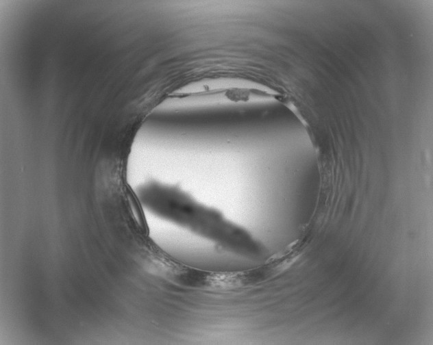 X0000060750141200512011457