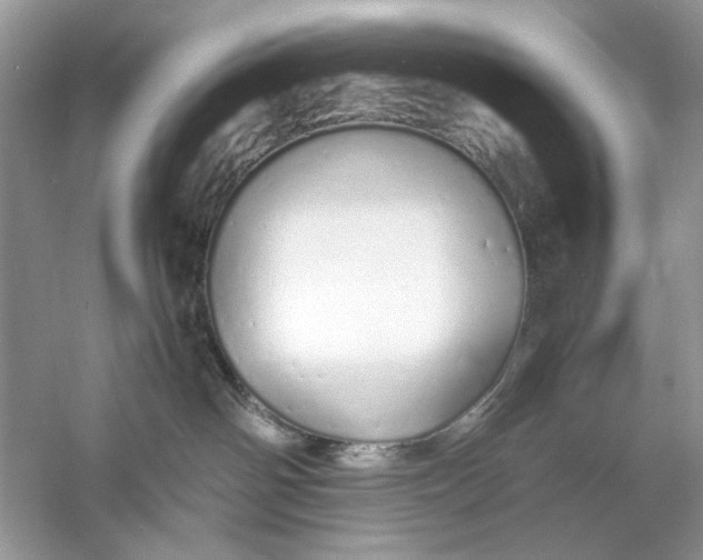 X0000060750142200512011457