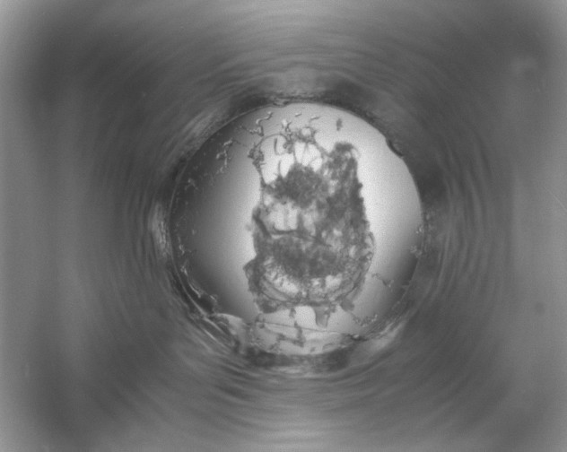 X0000060750143200512011457
