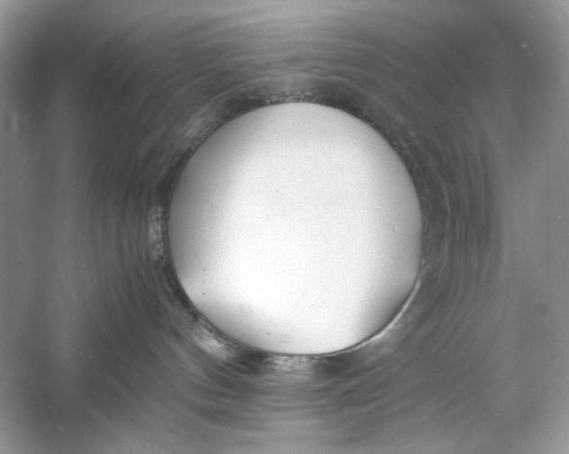 X0000060750144200512011457