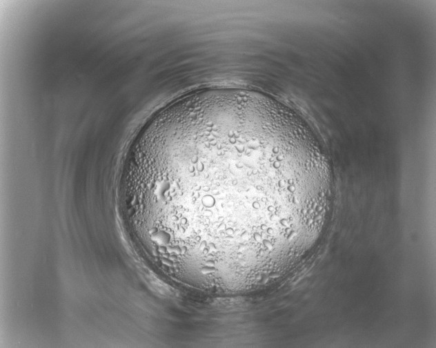 X0000060750145200512011456