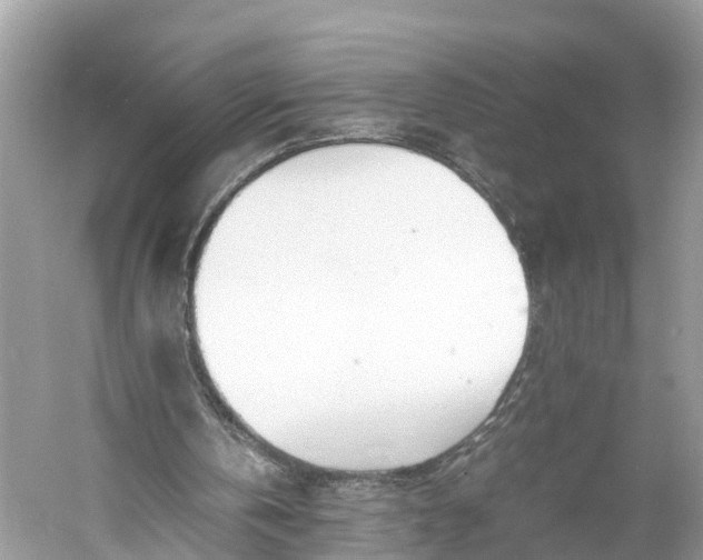 X0000060750146200512011456