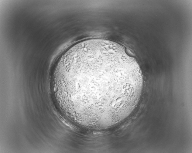 X0000060750149200512011456
