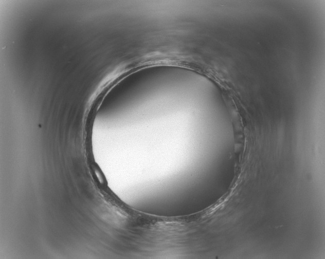 X0000060750150200512011456