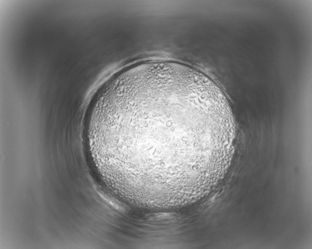 X0000060750151200512011456
