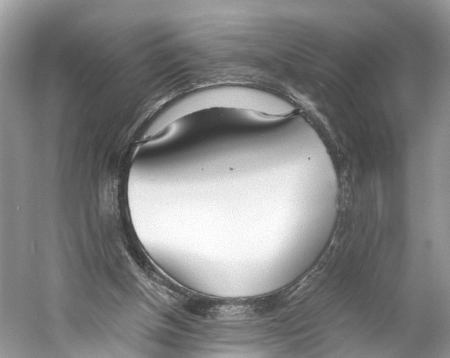 X0000060750154200512011456