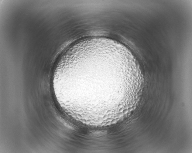X0000060750155200512011456