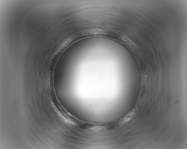 X0000060750158200512011456
