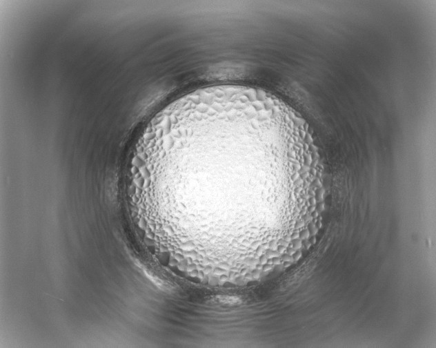 X0000060750159200512011456