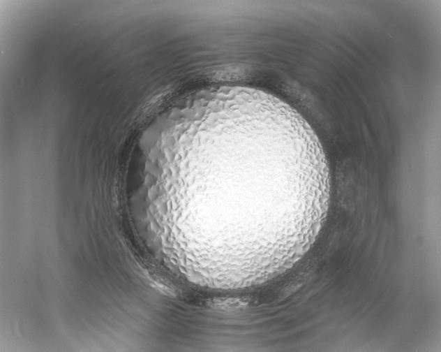 X0000060750161200512011456