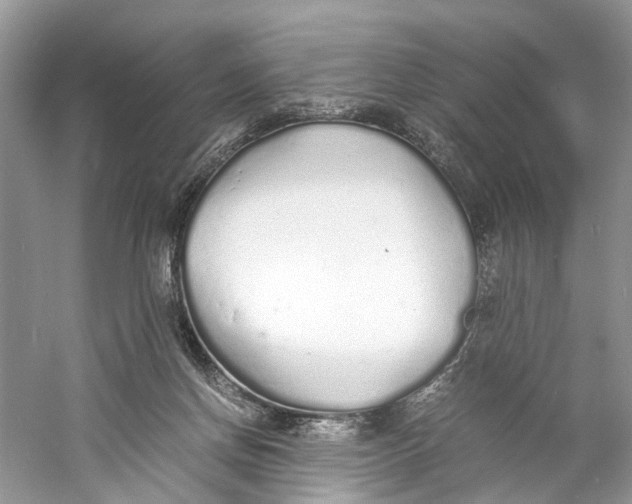 X0000060750166200512011456