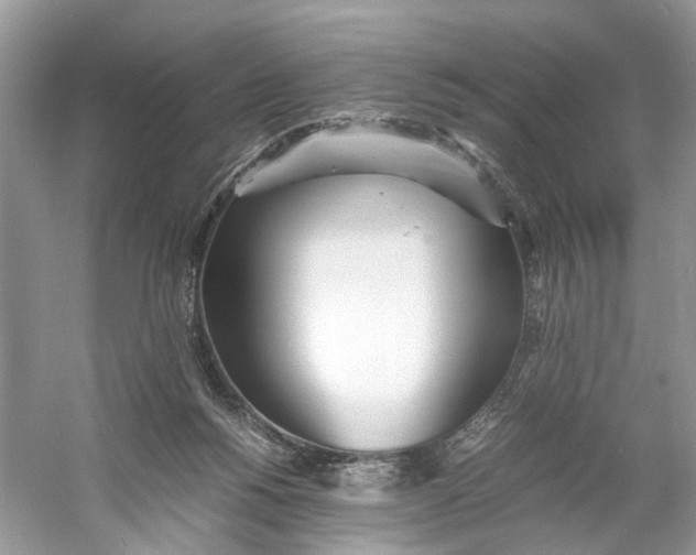X0000060750168200512011456