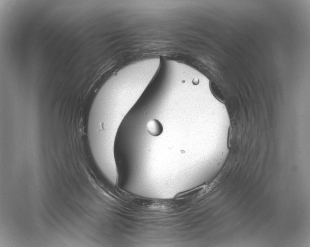 X0000060750171200512011456