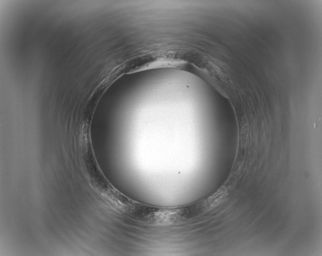 X0000060750172200512011456