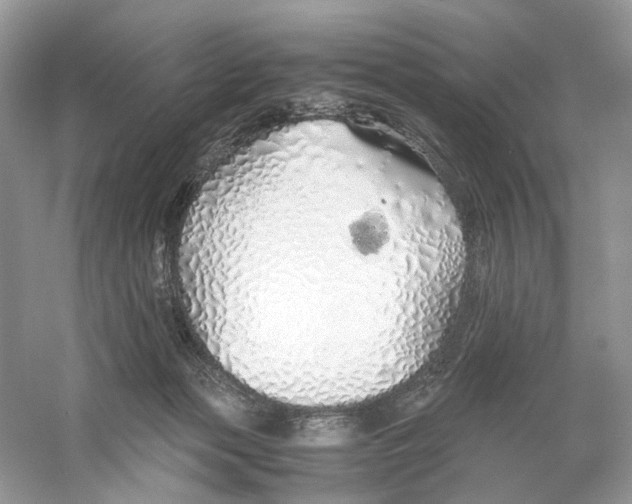 X0000060750173200512011456