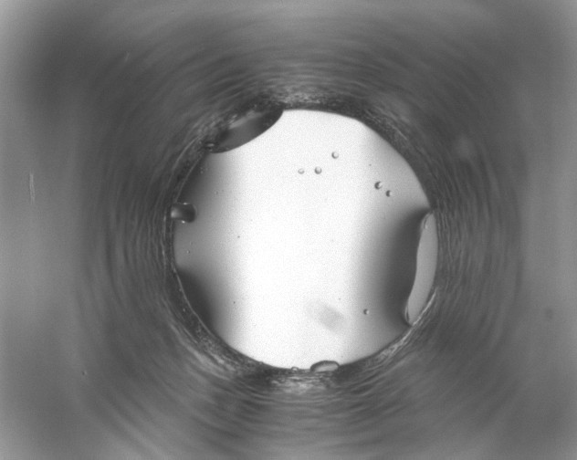 X0000060750175200512011456