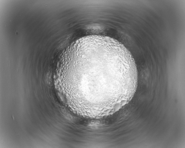 X0000060750177200512011456