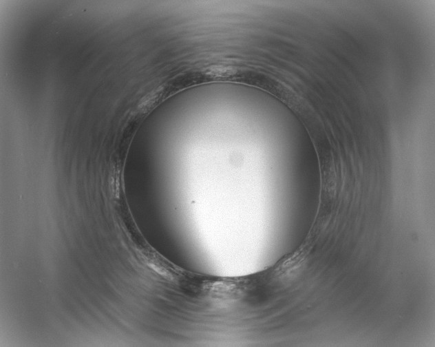 X0000060750180200512011456