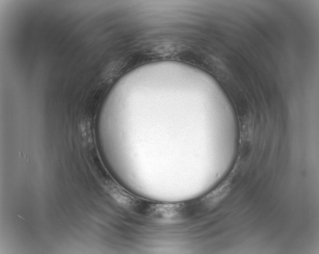 X0000060750182200512011456