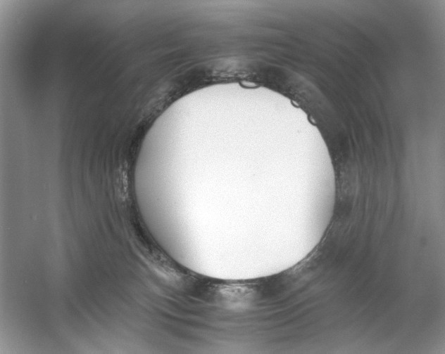 X0000060750183200512011456