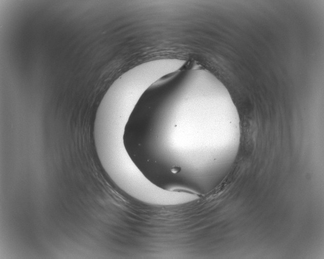 X0000060750185200512011457