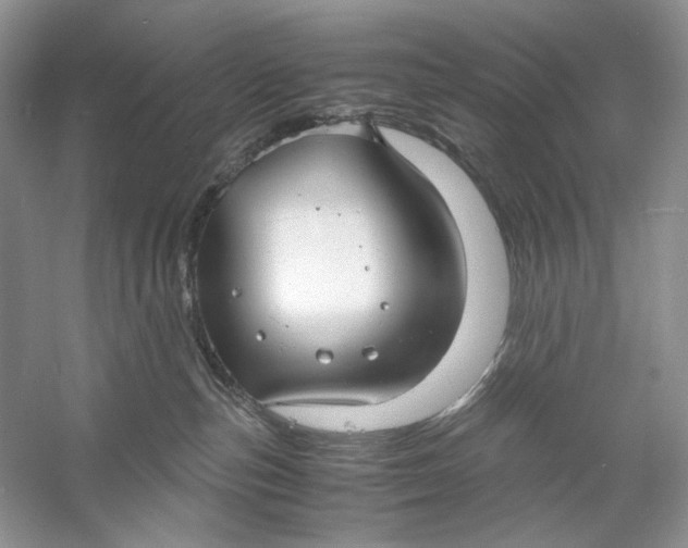 X0000060750187200512011457