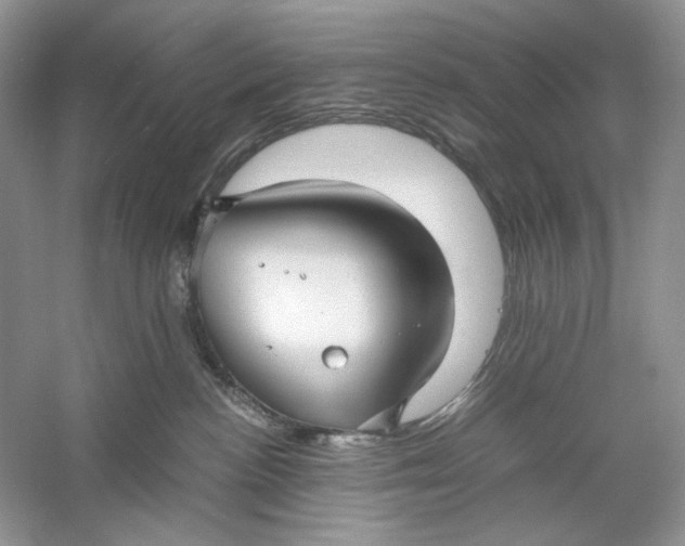 X0000060750188200512011457