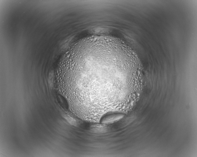 X0000060750189200512011457