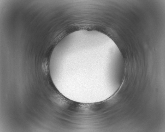 X0000060750190200512011457