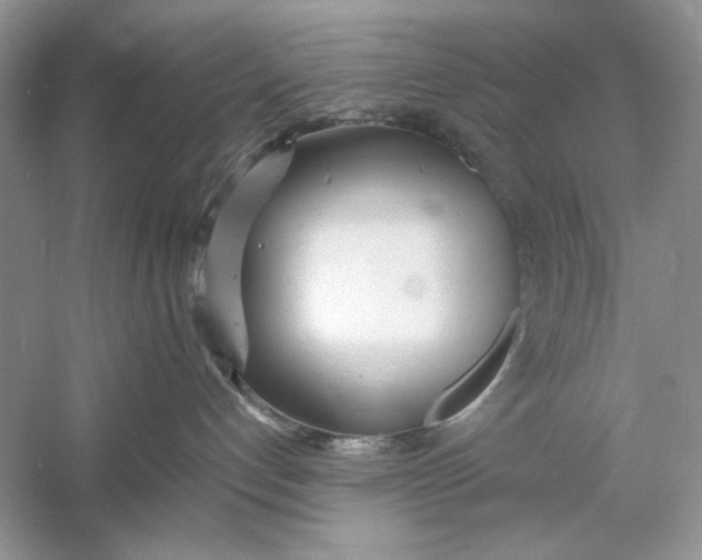 X0000060750192200512011457