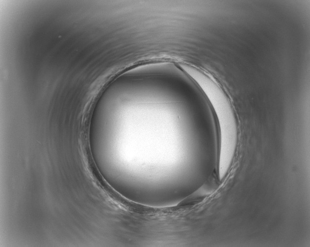 X0000060750193200512011456