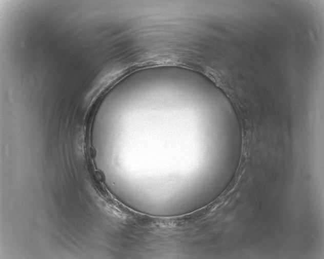 X0000060750194200512011456