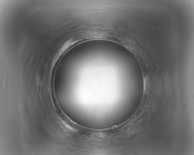 X0000060750195200512011456