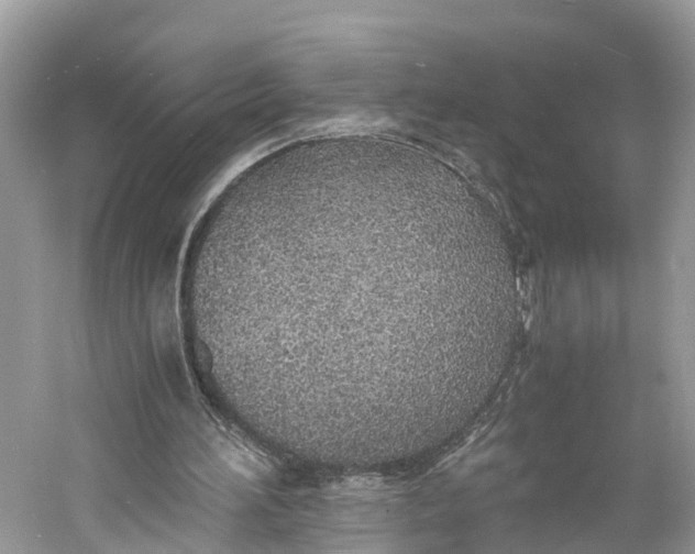 X0000060750196200512011456