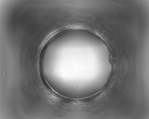 X0000060750199200512011456